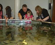 Touch Pool Fun
