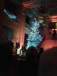 NI Assembly Christmas Tree